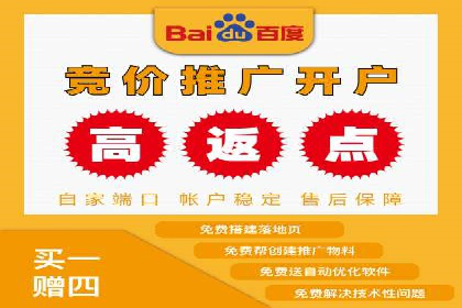 SEM服务案例：提升网站流量